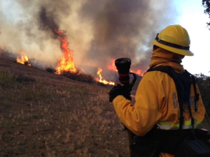 4Wildland5_300